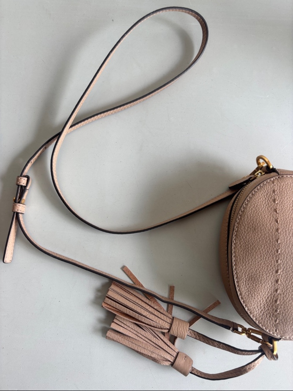 Tory Burch McGraw Blush Beige Pebbled Leather Tassel Crossbody - Picture 7 of 10